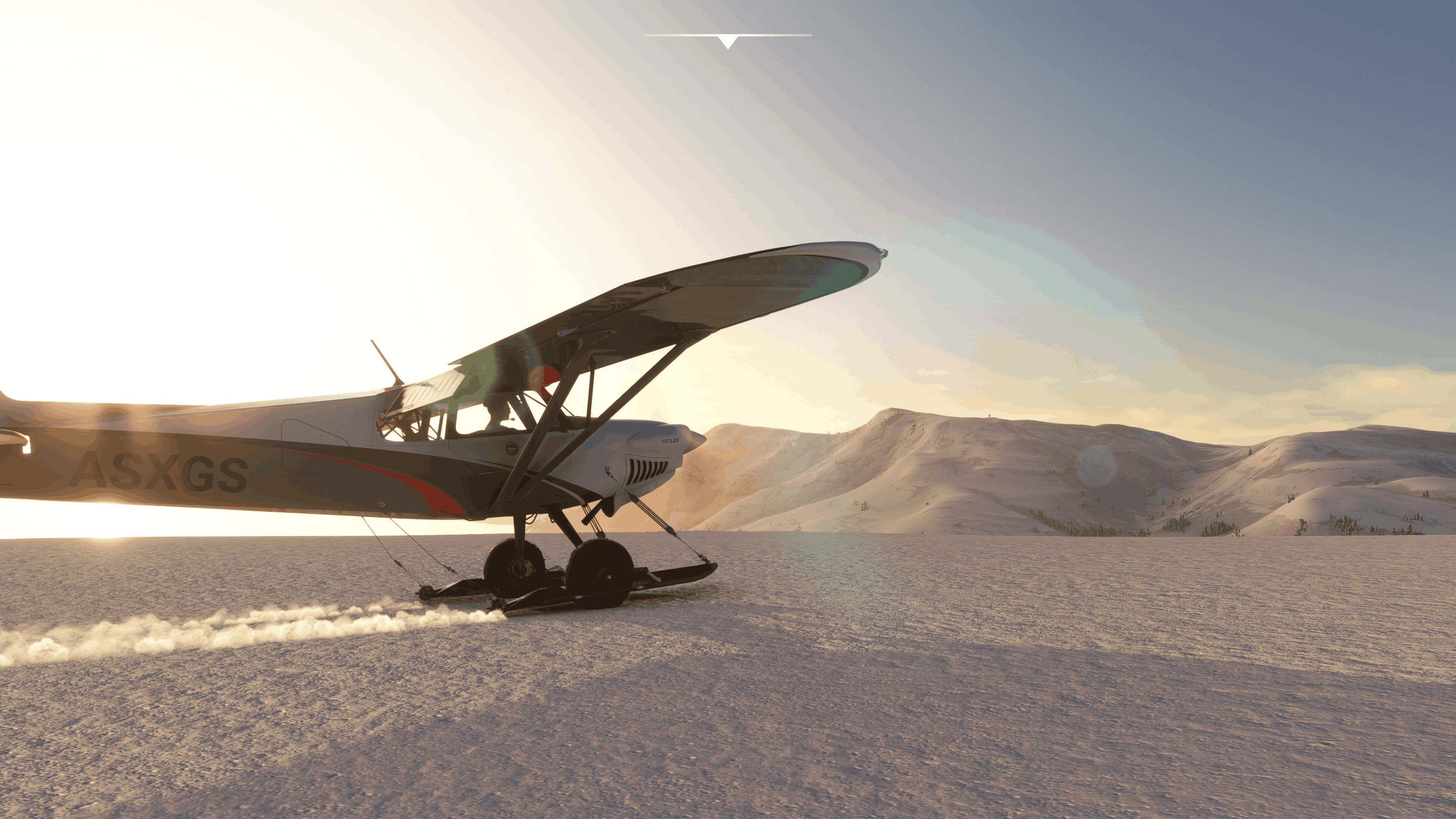 Microsoft Flight Simulator